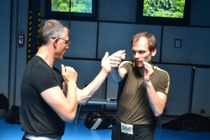 hunggarnancy-artsmartiaux-wushu-kungfu-ericbourbonnais-18juin2016-18   